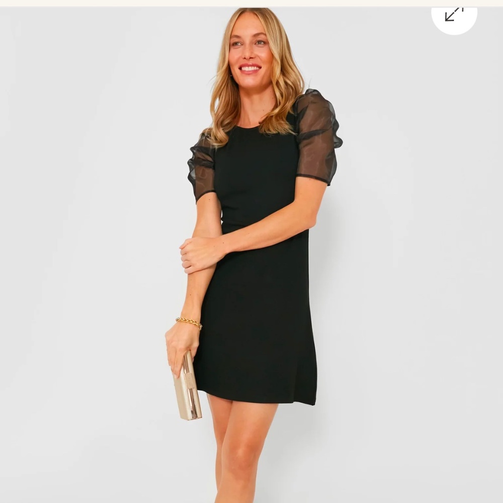 Hyacinth House Black Tulle Sleeve Darby Dress